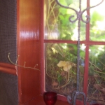 Bear Creek Studio - Window Sill